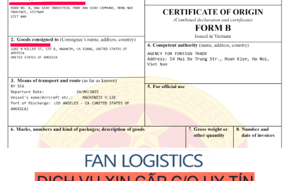 Hướng dẫn xin CO form EUR.1 (EVFTA) xuất khẩu đi Châu Âu EU