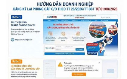 Công văn 870/XNK-XXHH ngày 21/07/2026